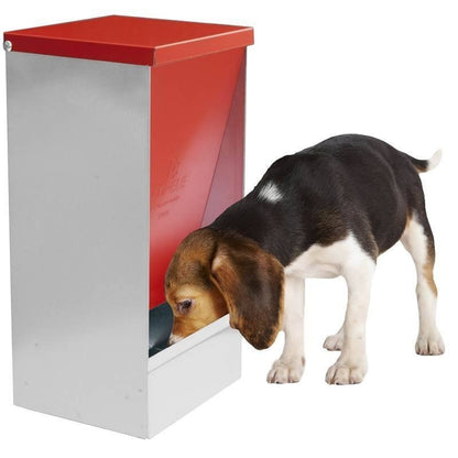 COMEDERO  PERROS Y GATOS